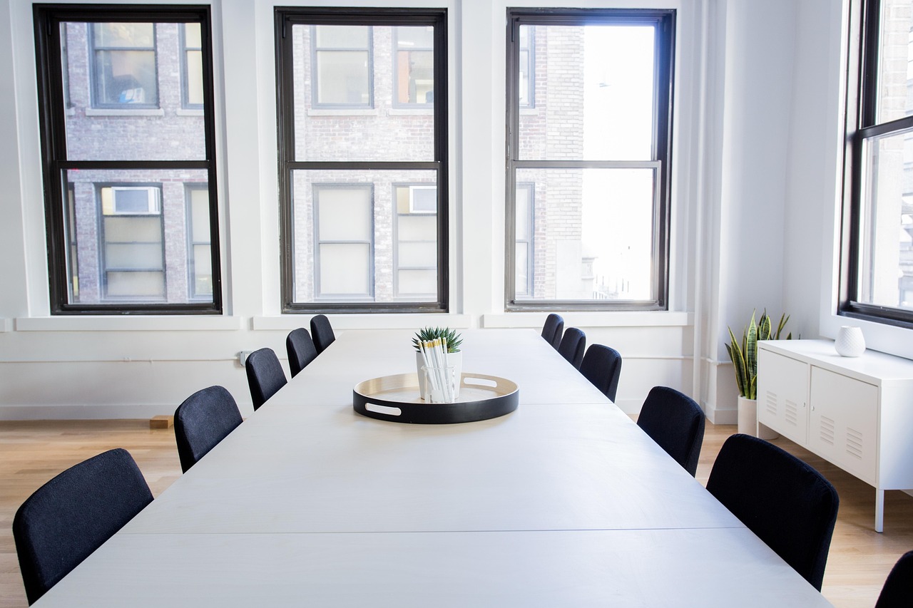 Professional consultation environment